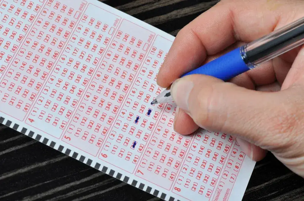 błędy typowania liczb lotto