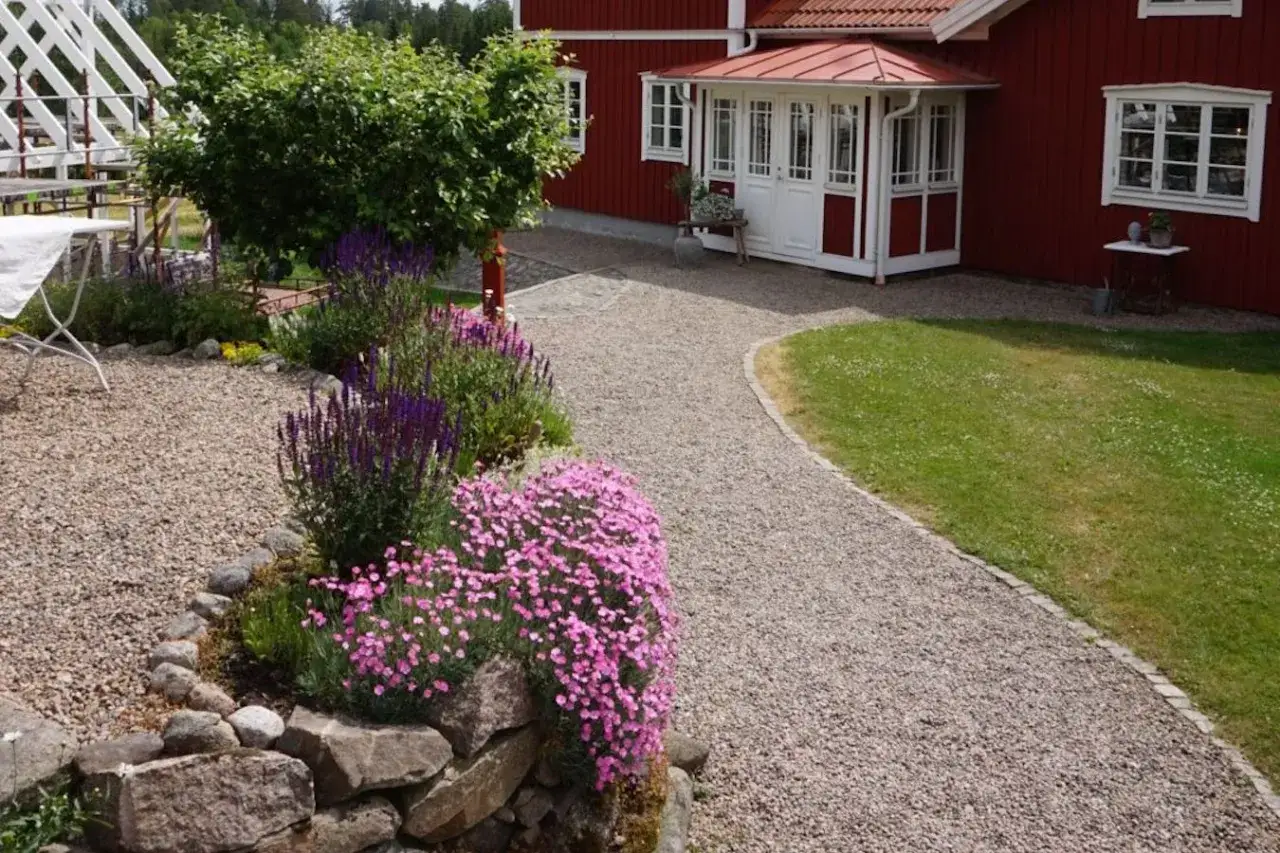 En charmig cottage garden med r&ouml;da huset, grusg&aring;ng och blomstrande rabatter i lila och rosa.