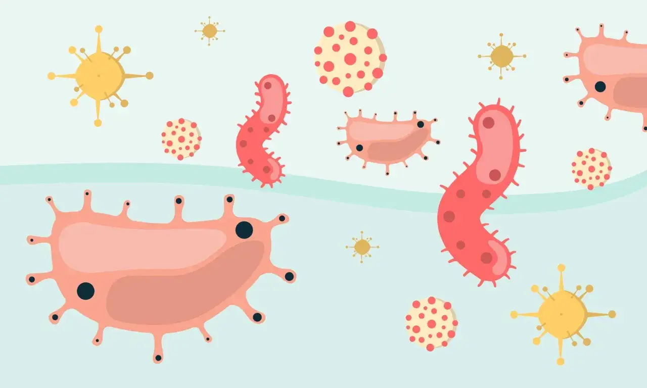 Illustration av olika bakterier och virus. En gravid kvinna kan drabbas av halsfluss.