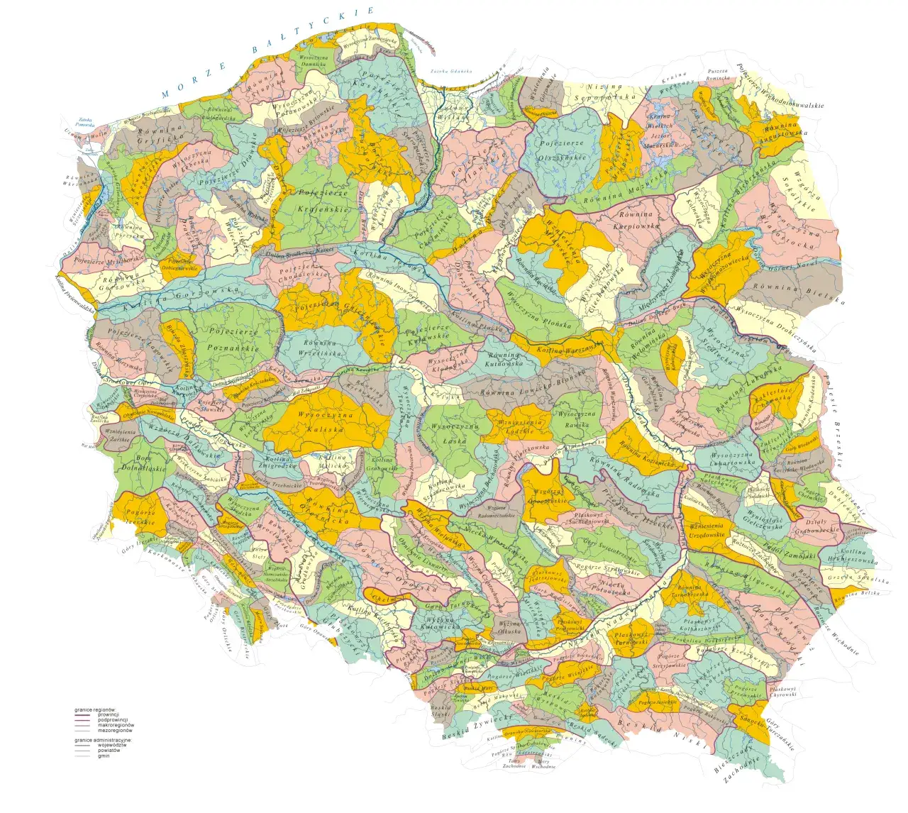 Mapa Polski z zaznaczonymi regionami grzybowymi