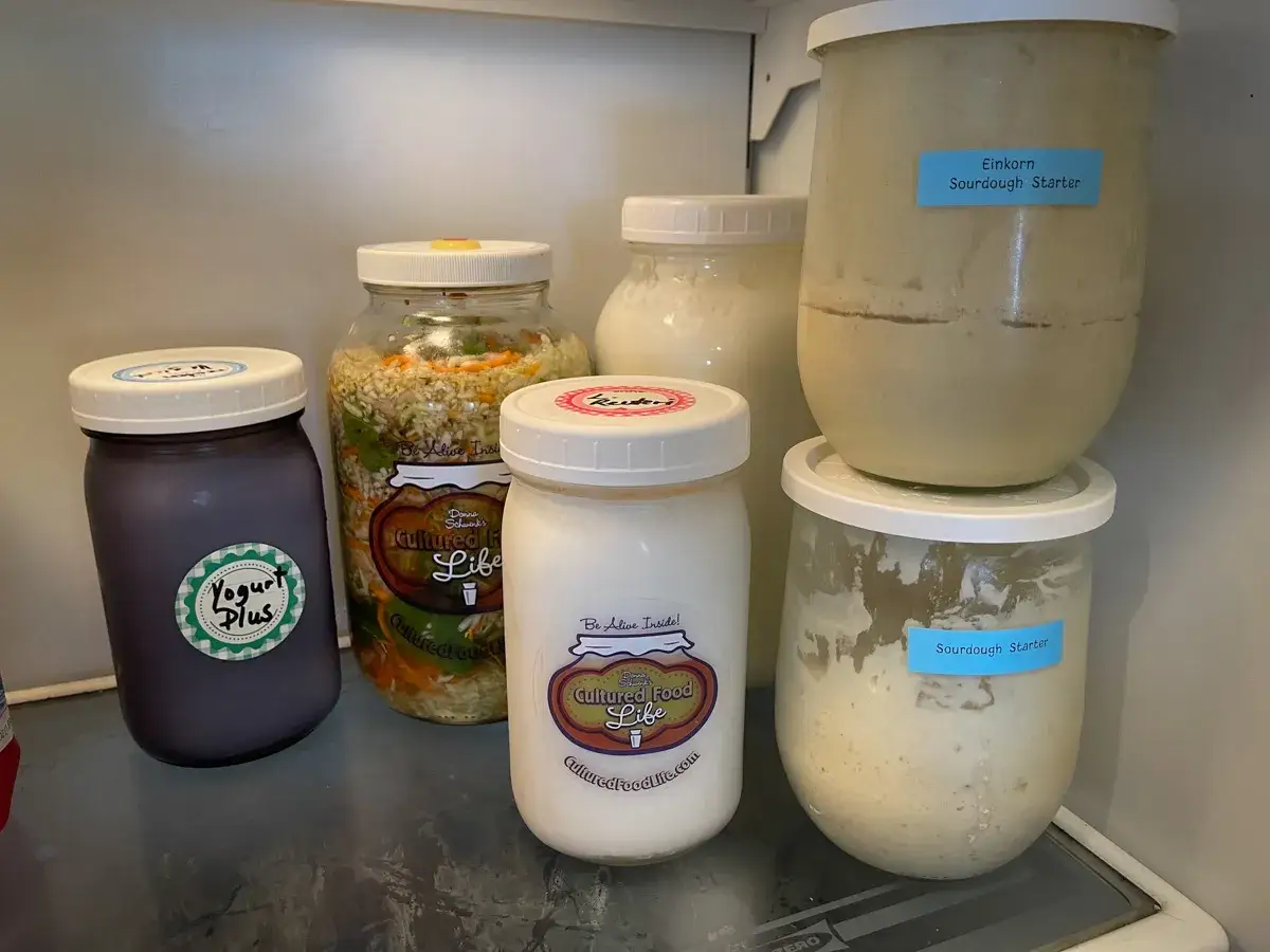 Dans le réfrigérateur, des bocaux de levain, de choucroute et de yaourt. Un bocal étiqueté
