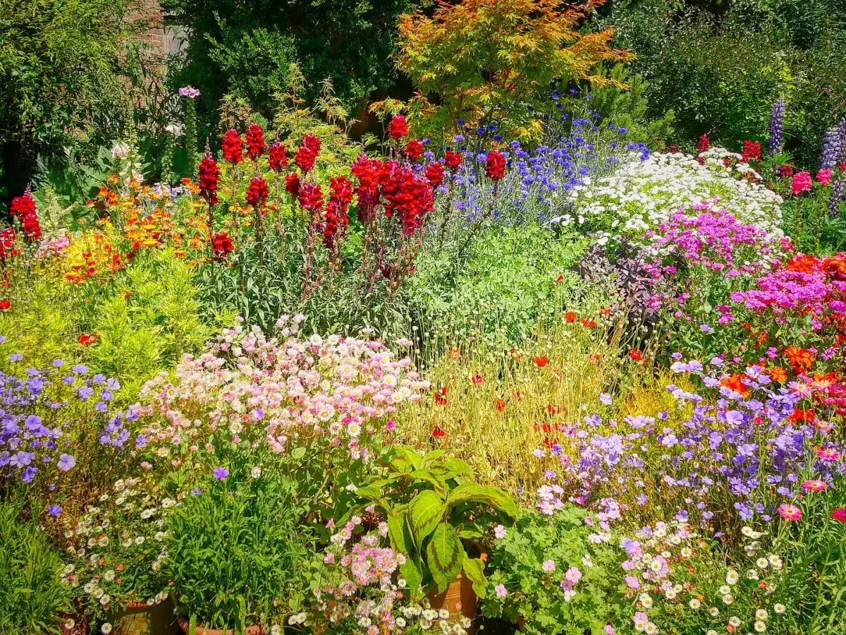 Ein &uuml;ppiger Garten bl&uuml;ht in Rot, Blau, Rosa und Gelb. Hier gibt es keine Zeit f&uuml;r 