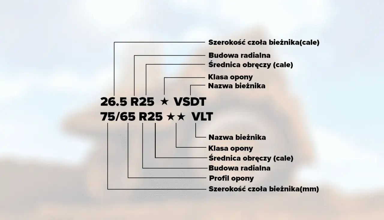 Schemat wyjaśniający oznaczenia rozmiarów opon: szerokość, profil, średnica obręczy, budowa, klasa i nazwa bieżnika.