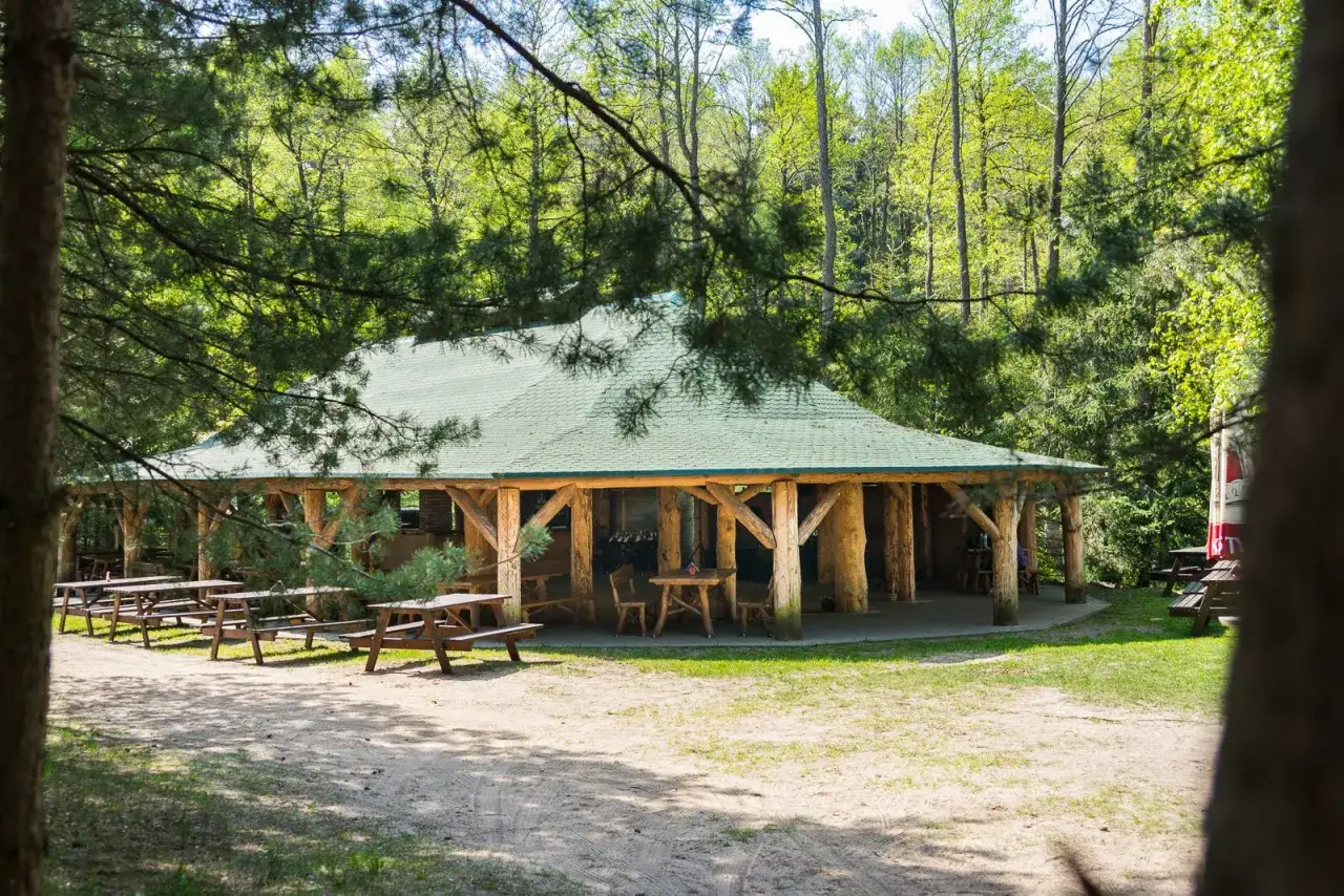 Drewniana wiata z zielonym dachem, idealna na piknik na polu campingowym. Wok&oacute;ł stoły i ławki, otoczone drzewami.