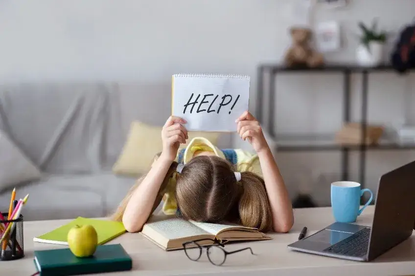 uczeń czytający dokumenty przy biurku, symbol wymagań edukacyjnych
