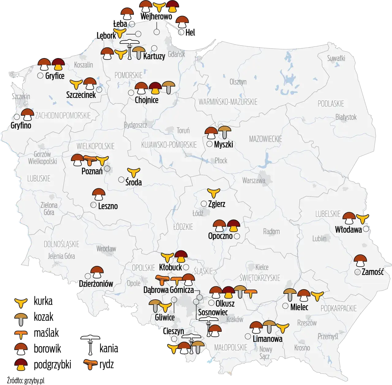 Mapa lasów grzybowych okolice Szczecina