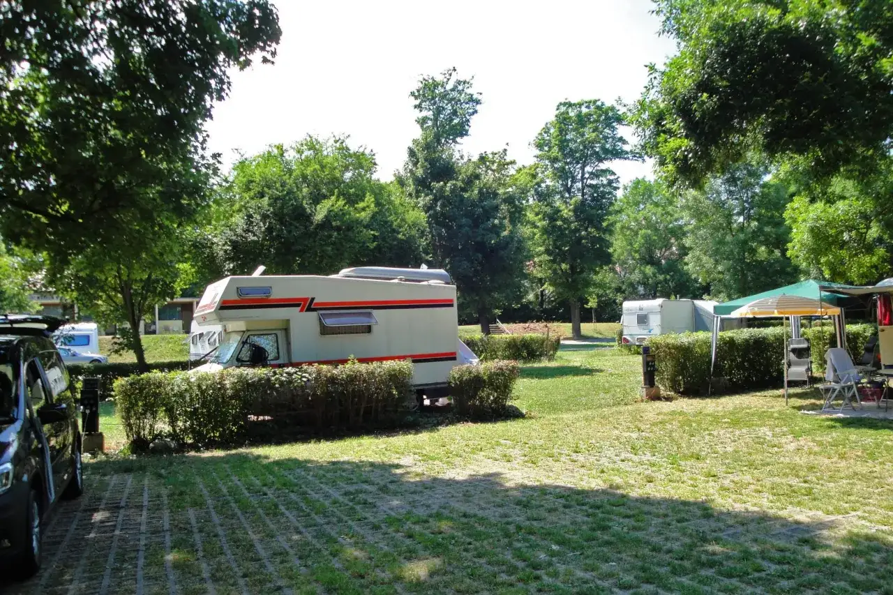 Kampery i przyczepy kempingowe na zielonym polu, idealne na camping wiedeń. Słońce przebija się przez drzewa.