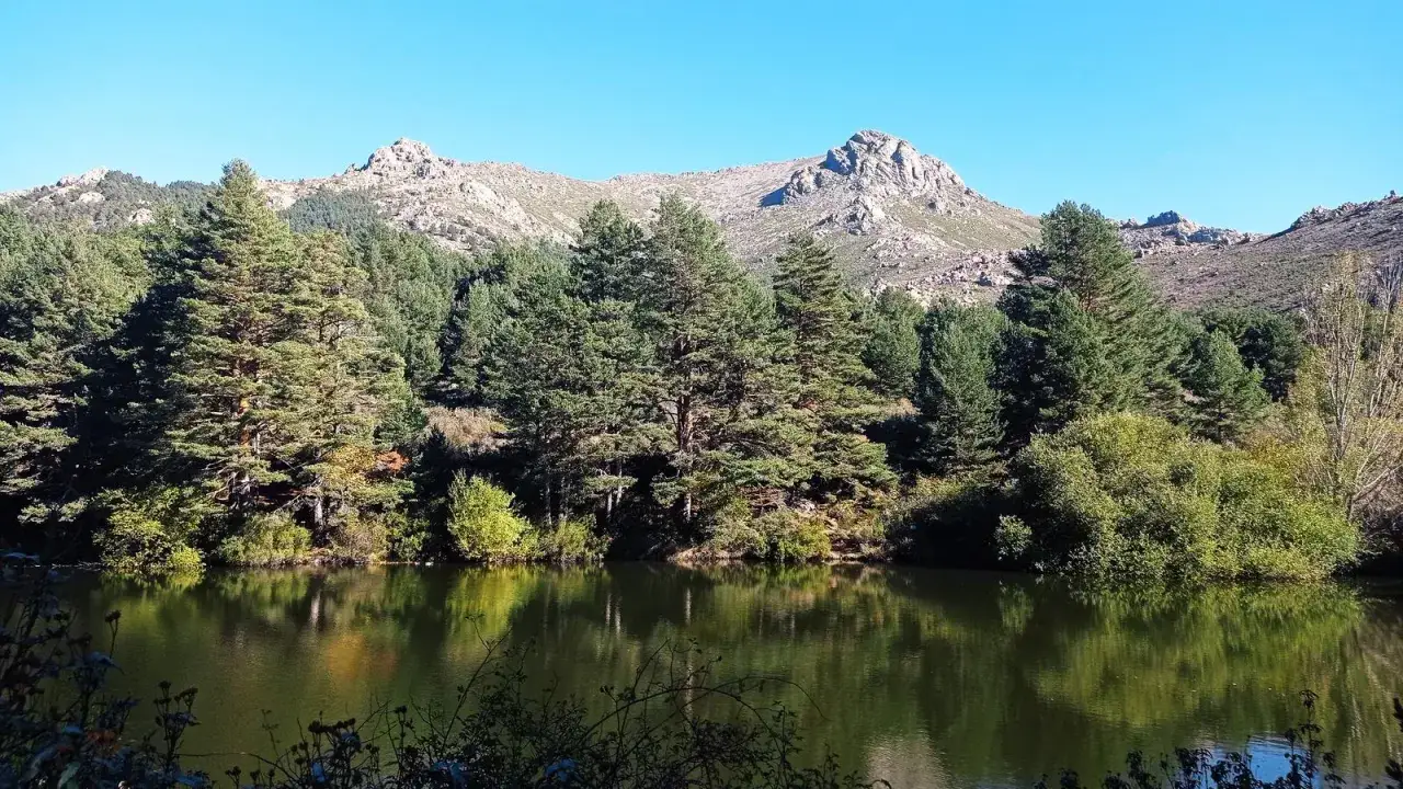 Tranquilo lago refleja pinos y monta&ntilde;as. La maliciosa desde la barranca observa el paisaje sereno.