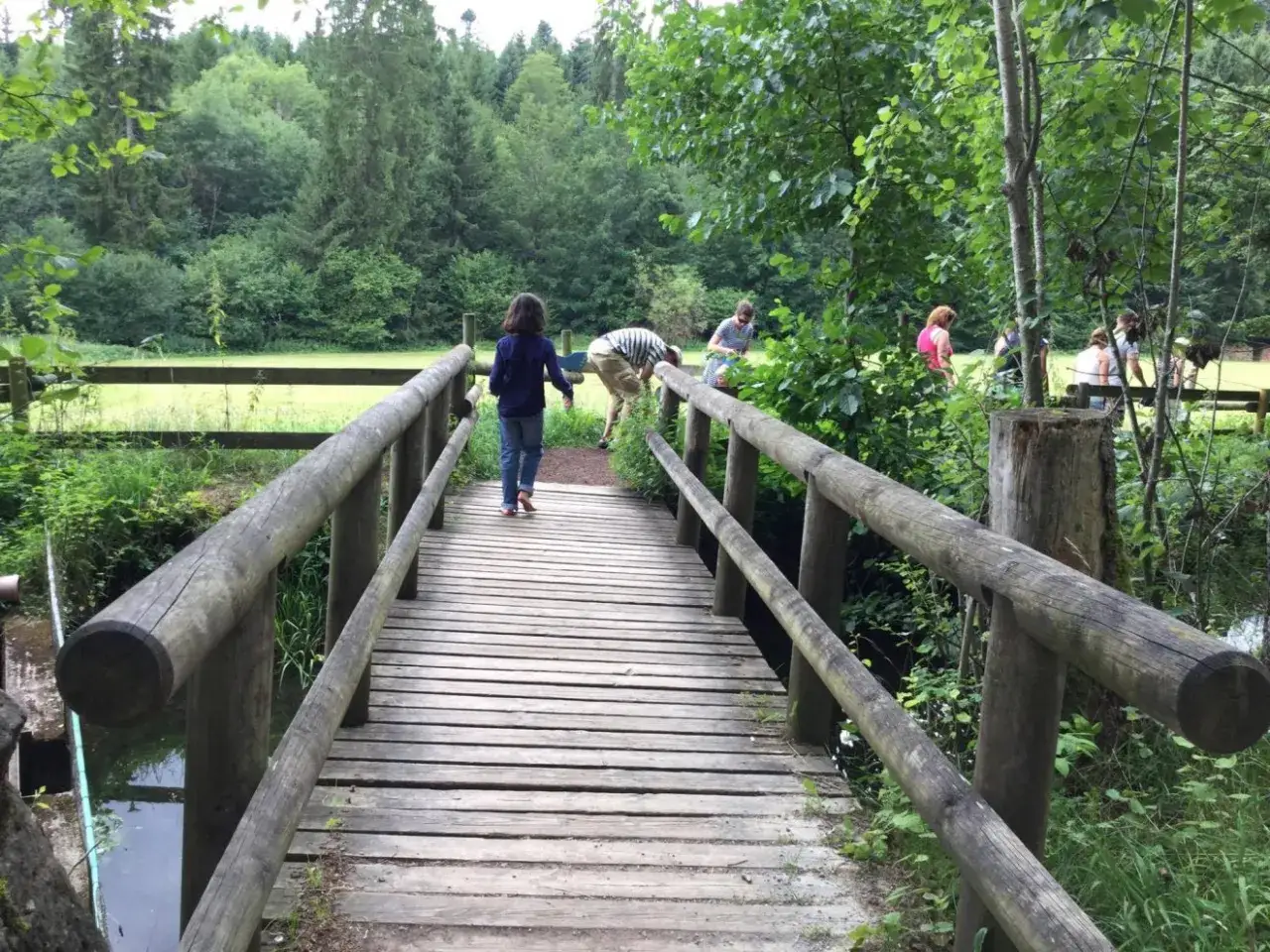 Holzbrücke im Barfusspark Hallwangen mit spielenden Kindern und Erwachsenen, umgeben von üppiger Natur.