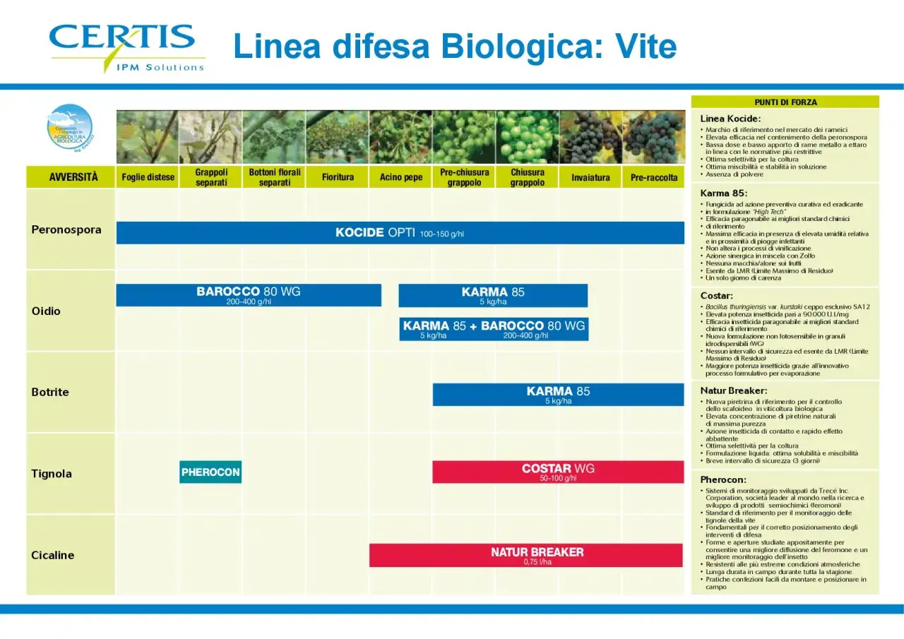 Calendario trattamenti vigneto: Peronospora, Oidio, Botrite, Tignola, Cicaline. Prodotti e fasi fenologiche.