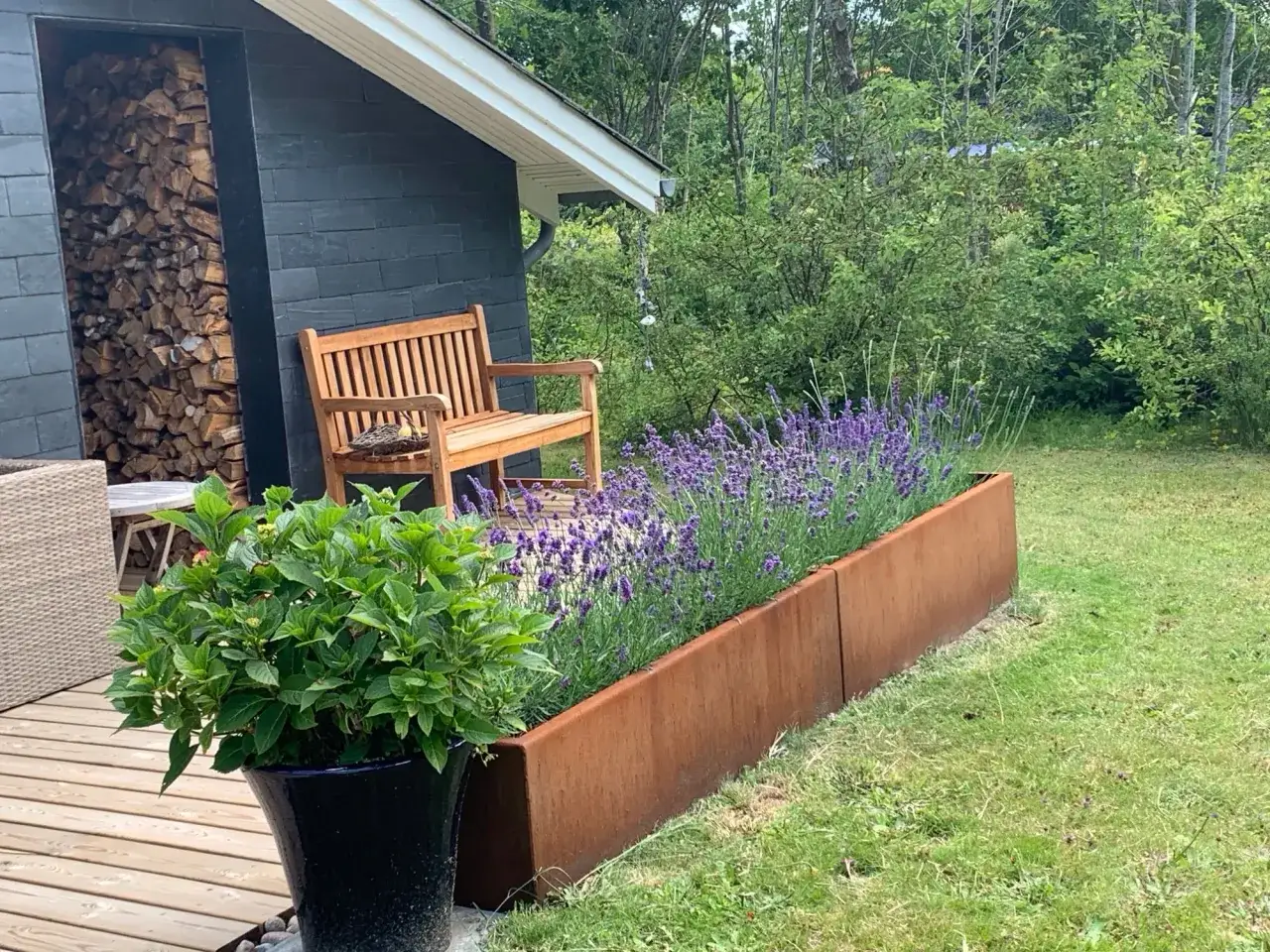 En träbänk står vid en byggnad med vedförvaring. Framför bänken blommar lavendel i en rabatt, en vacker kontrast till de buskar som trivs i skugga bakom.