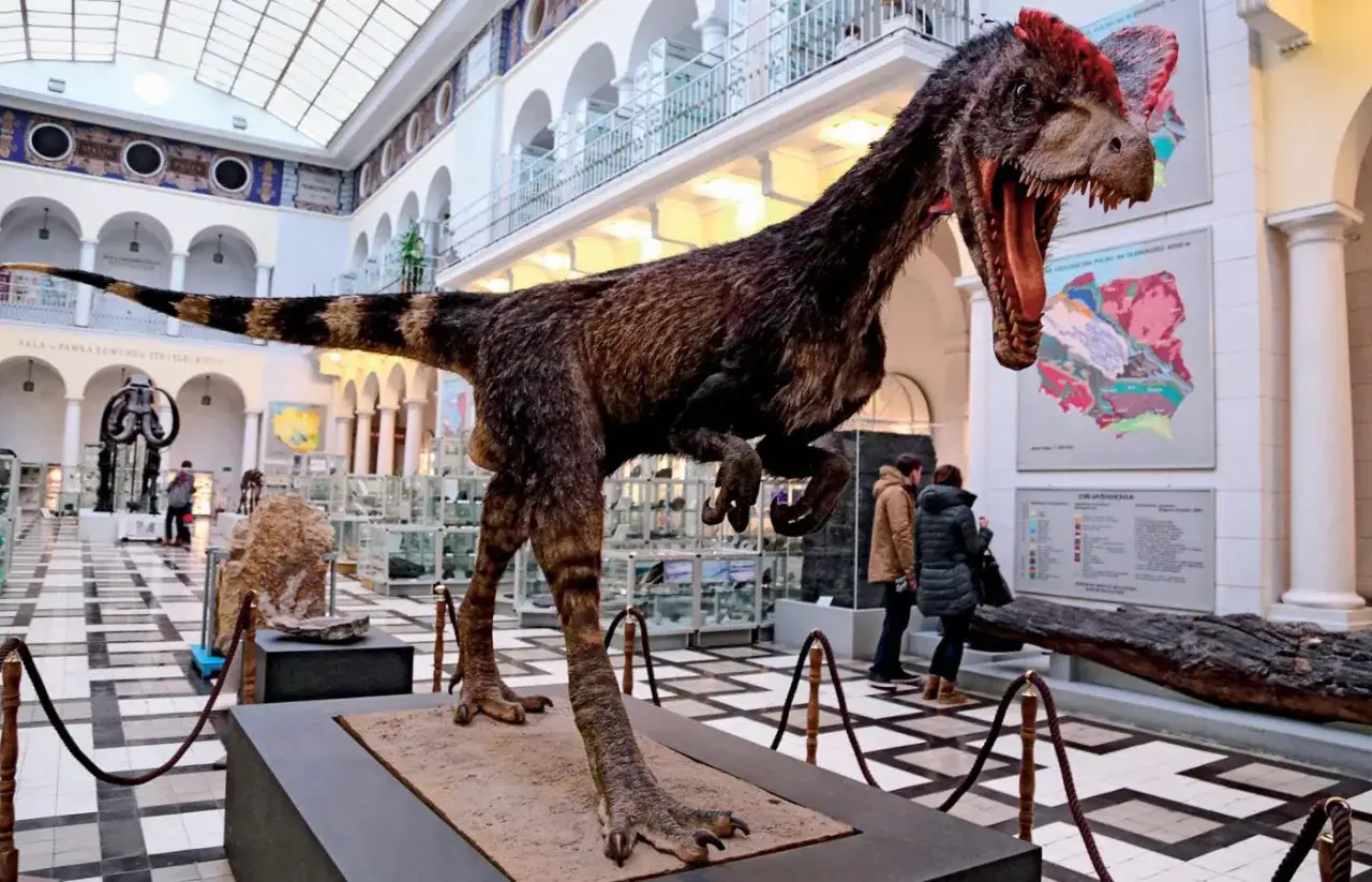 Model dinozaura w największym muzeum dinozaur&oacute;w w Polsce.