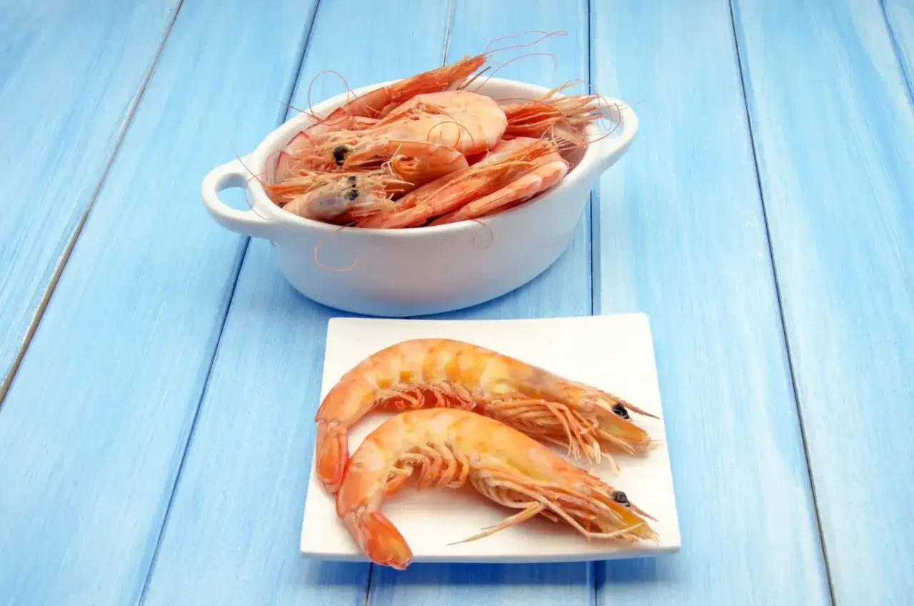 Dos gambas grandes en un plato blanco, y un cuenco lleno de gambas más pequeñas, para ilustrar la diferencia gamba y langostino.