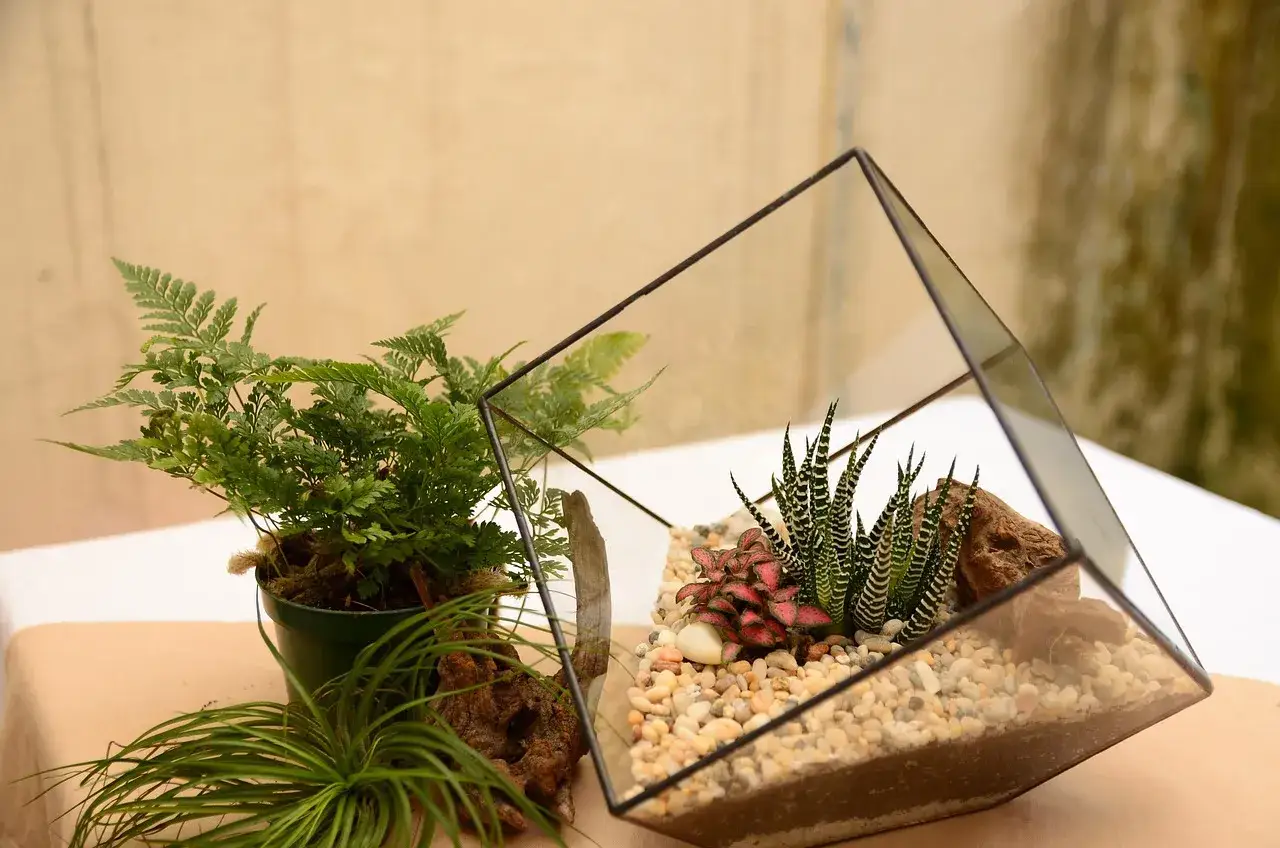 materiały do terrarium roślinnego