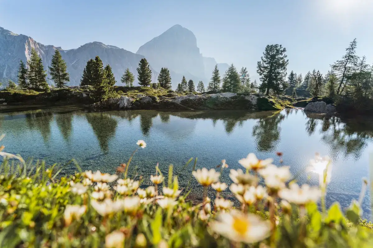 Fiori di campo e alberi si specchiano nel limpido lago di Limides, con montagne maestose sullo sfondo.