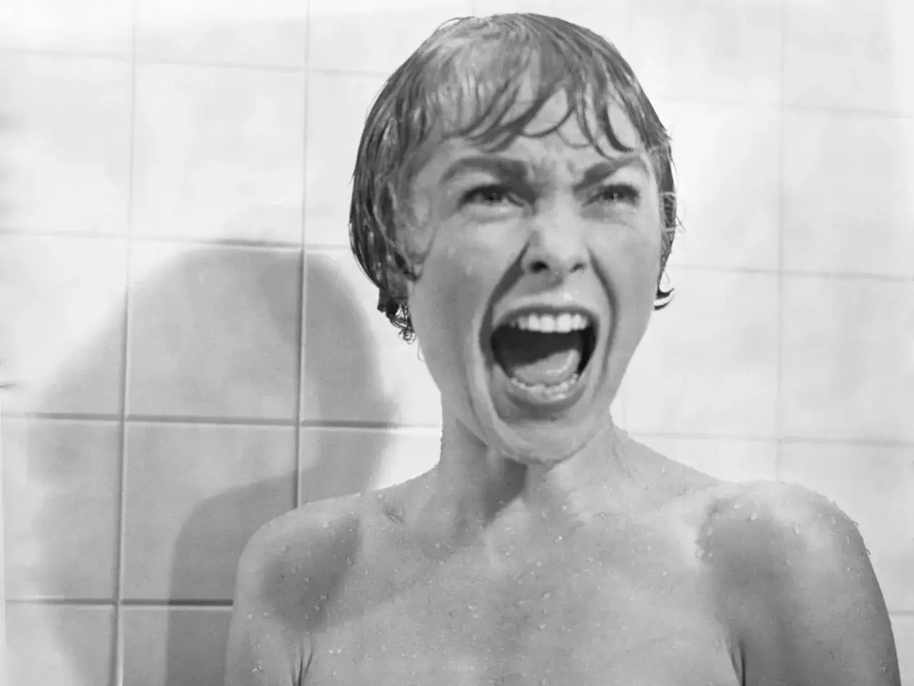 Una donna urla terrorizzata nella doccia, un'iconica scena di un **psycho storia vera** che ha segnato il cinema.