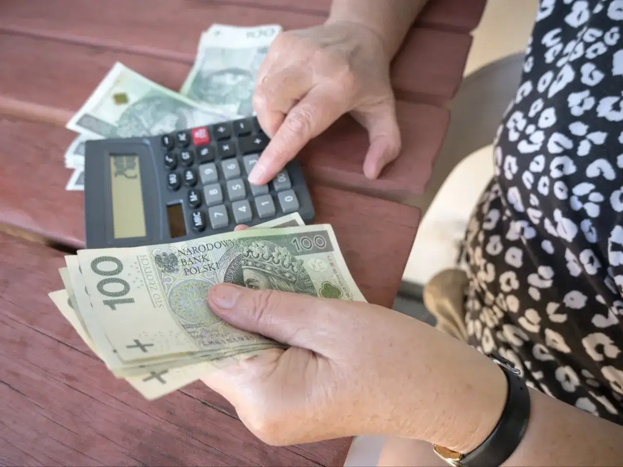 Dłoń z banknotami 100 zł i kalkulatorem, przygotowuje się do odprawy emerytalnej.