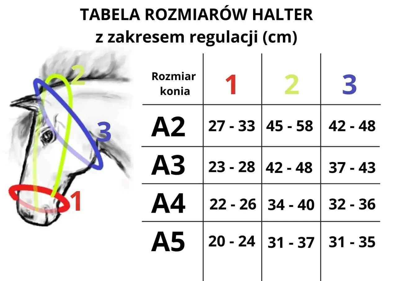 Tabela rozmiarów kasków dla koni z zaznaczonymi wymiarami na rysunku głowy konia.