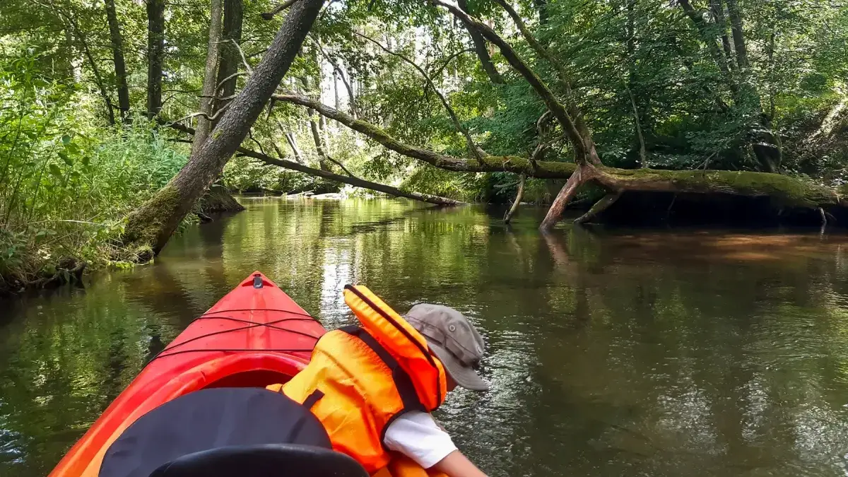kajak na rzece