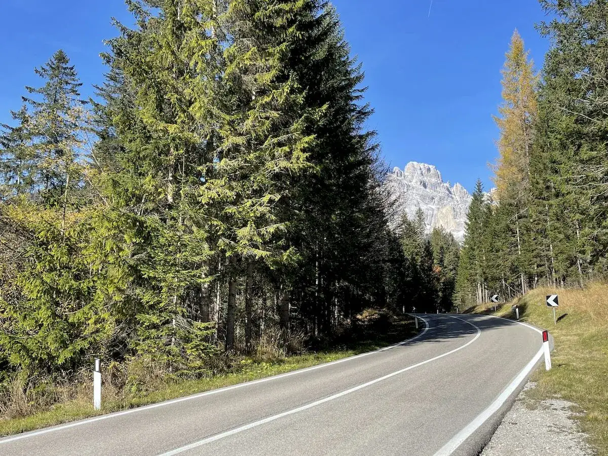 Strada tortuosa tra fitti abeti, con vette innevate all'orizzonte. Un viaggio verso il passo Monte Croce.