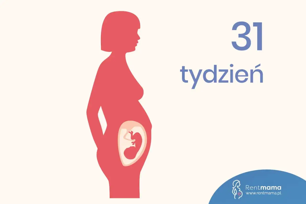 31 tydzień ciąży. Ilustracja kobiety w ciąży z widocznym płodem w brzuchu.