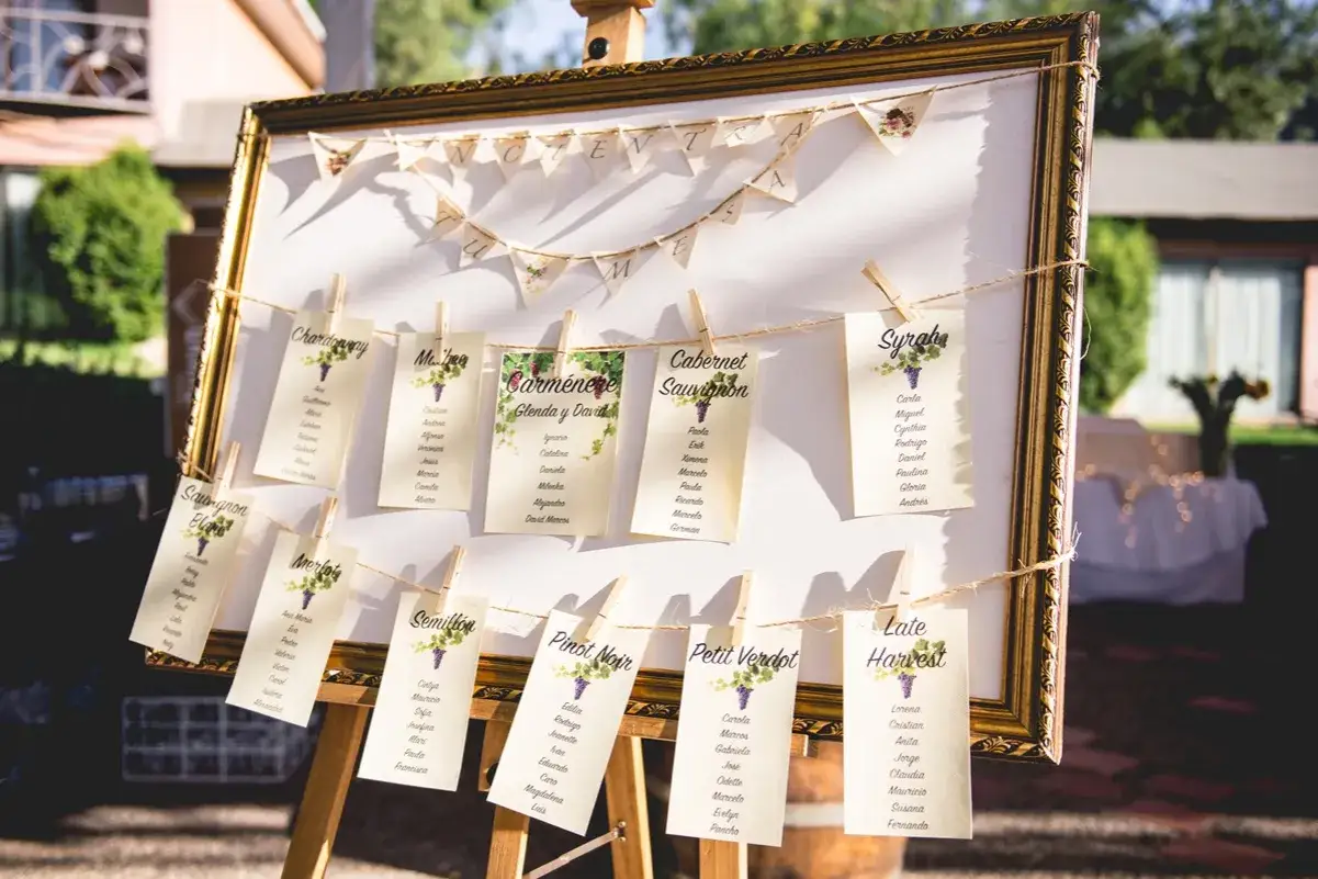 Un chevalet pr&eacute;sente un panneau avec des cartes de nom de table mariage, class&eacute;es par c&eacute;pages de vin. Les noms des invit&eacute;s sont &eacute;pingl&eacute;s sur des cartes d&eacute;cor&eacute;es de grappes de raisin.