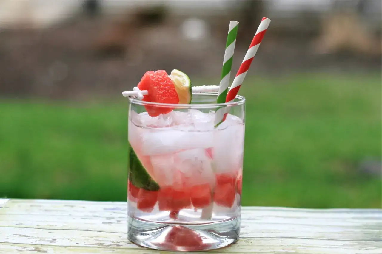 Erfrischender Gin Tonic mit Wassermelone und Limette, garniert mit einem Stück Wassermelone und Limette. Zwei bunte Strohhalme stecken im Glas.