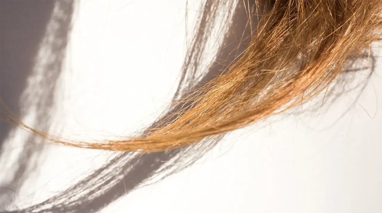 Mechones de cabello rubio con puntas abiertas, iluminados por la luz del sol que proyecta sombras alargadas.