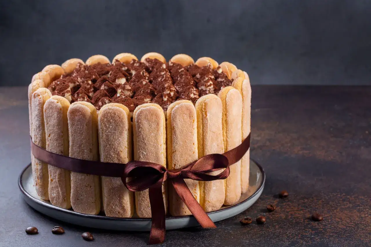 Gâteau tiramisu joliment décoré de biscuits cuillère et de cacao, avec un ruban marron.