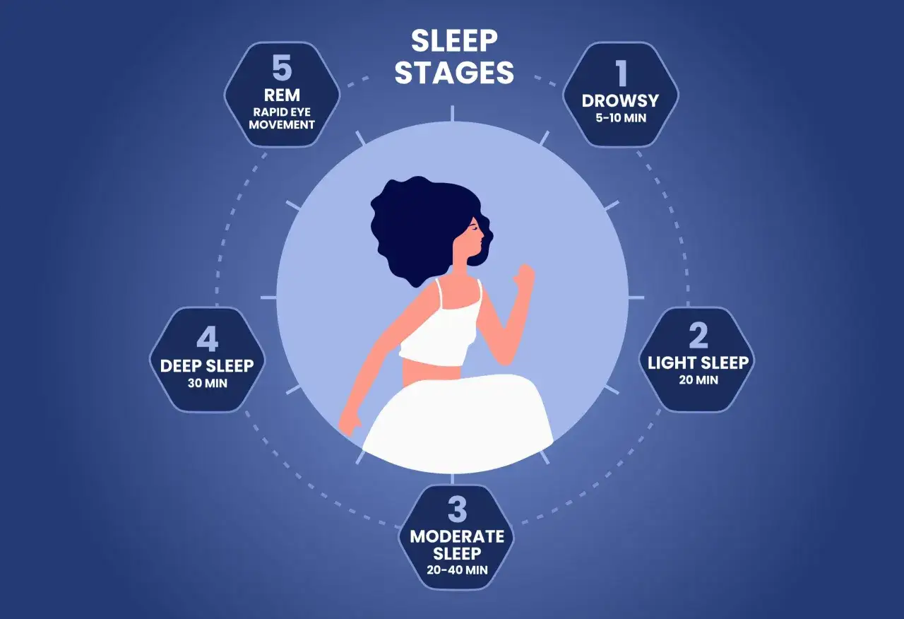 Diagram of sleep stages, highlighting REM sleep. Learn how to improve rem sleep for better rest.