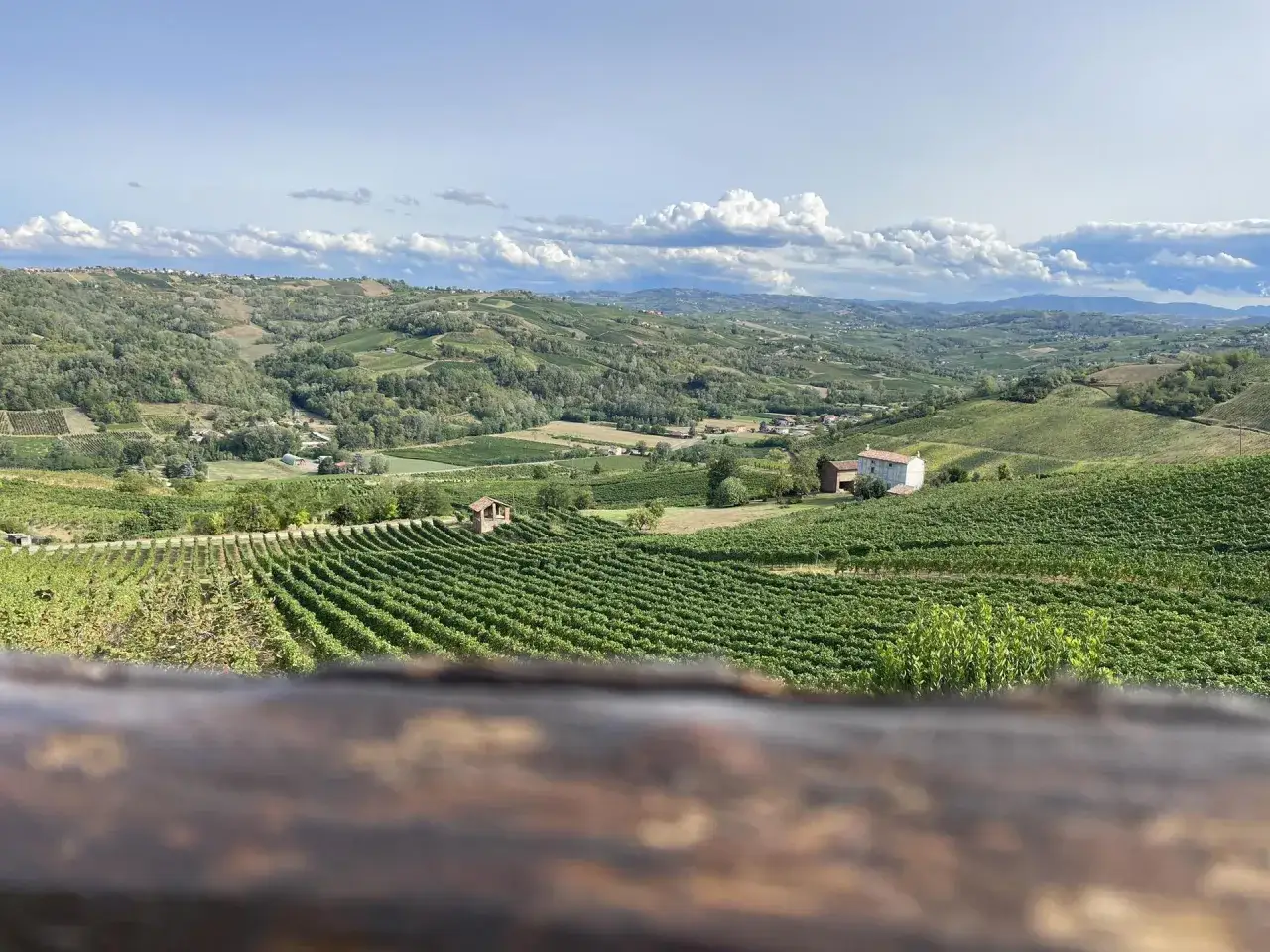 Colline verdi ondulate, vigneti rigogliosi e casolari sparsi sotto un cielo azzurro con nuvole bianche. Un paesaggio che evoca il profumo del **redavalle vino**.