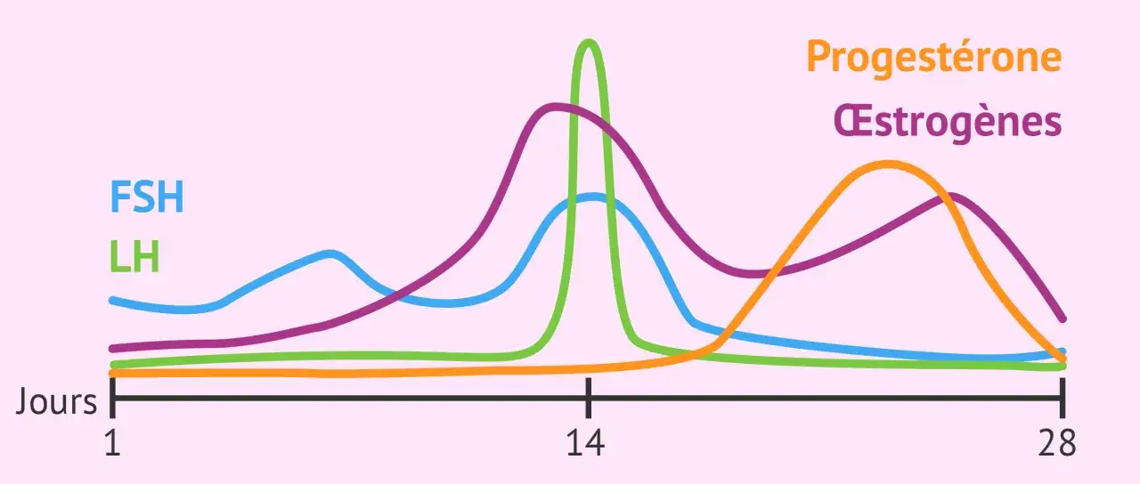 Graphique montrant les variations hormonales (FSH, LH, œstrogènes, progestérone) sur 28 jours, illustrant l'équilibre hormonal.