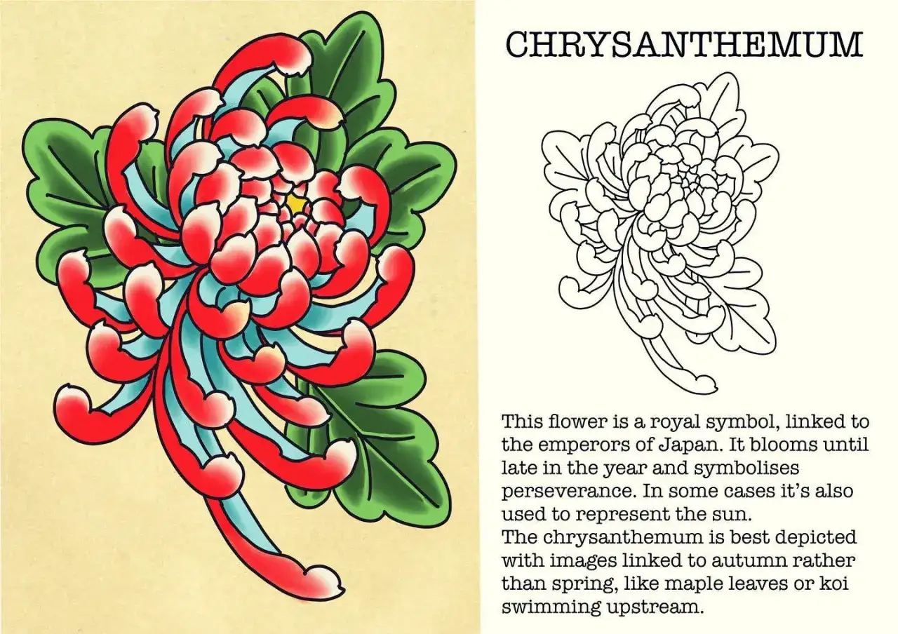 Kwiat chryzantemy w stylu irezumi, symbol cesarzy Japonii, idealny na tatuaż.