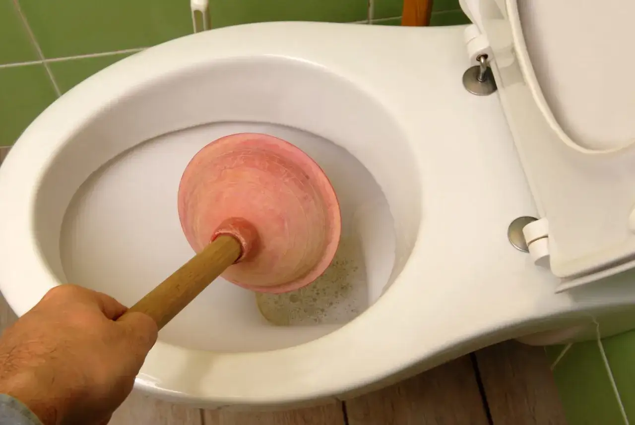 Main tenant, d&eacute;sesp&eacute;r&eacute;, tente de d&eacute;boucher les toilettes avec une ventouse. L'eau trouble et mousseuse sugg&egrave;re une tentative infructueuse.
