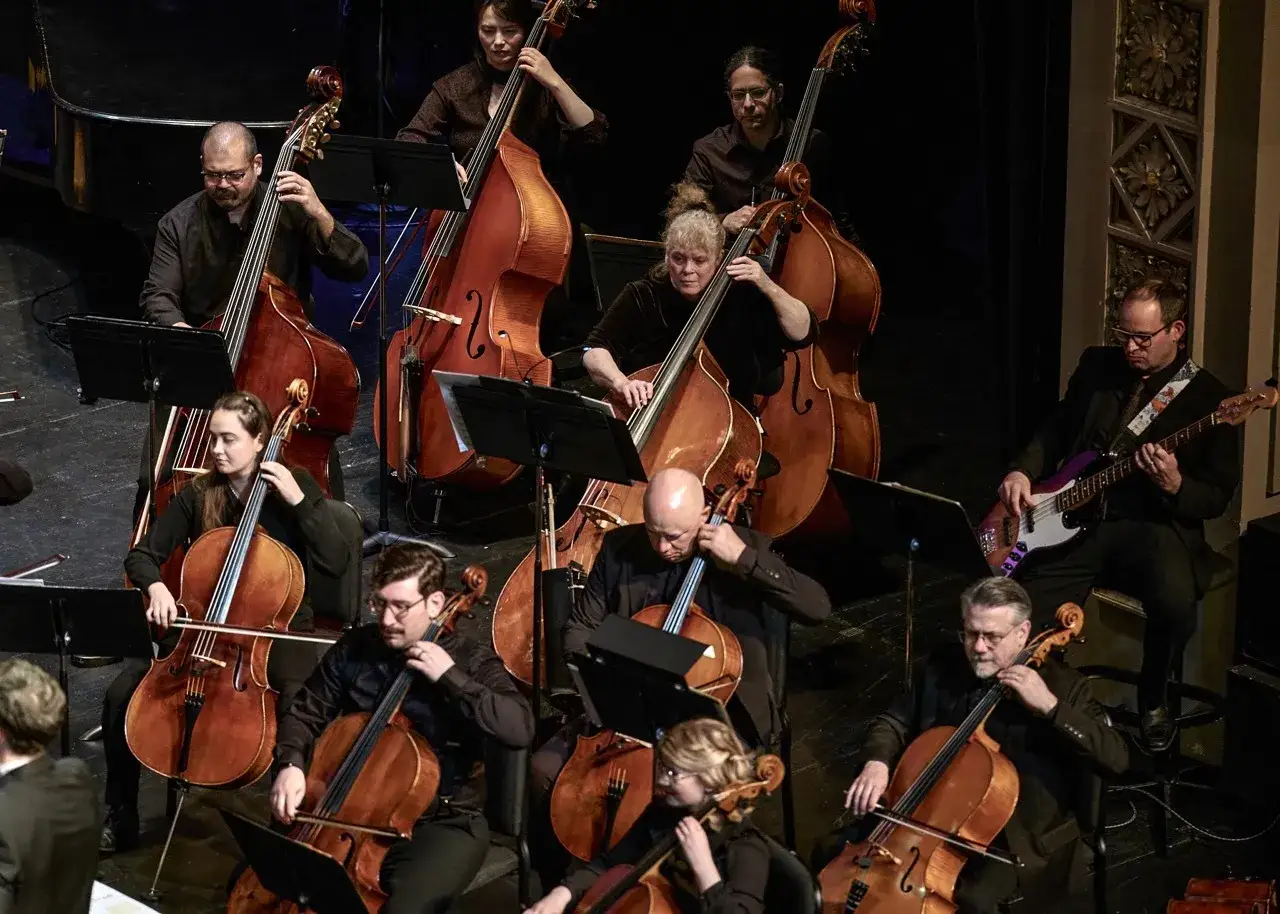 Un orchestre joue, plusieurs musiciens se concentrent sur leur contrebasse, cr&eacute;ant une harmonie profonde.