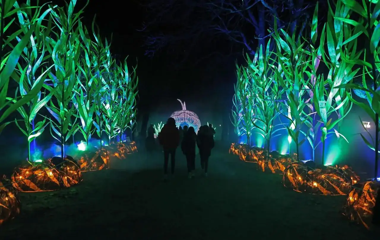 Un parcours lumineux &agrave; Paris, avec des plantes vertes lumineuses et des lanternes citrouilles. Des visiteurs marchent vers une arche illumin&eacute;e.