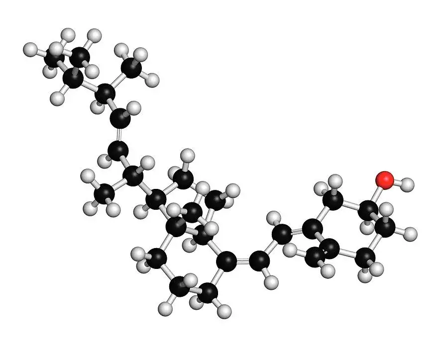 Zdjęcie Die Wahrheit über Vitamin D2: Vorteile, Quellen und Dosierung erklärt