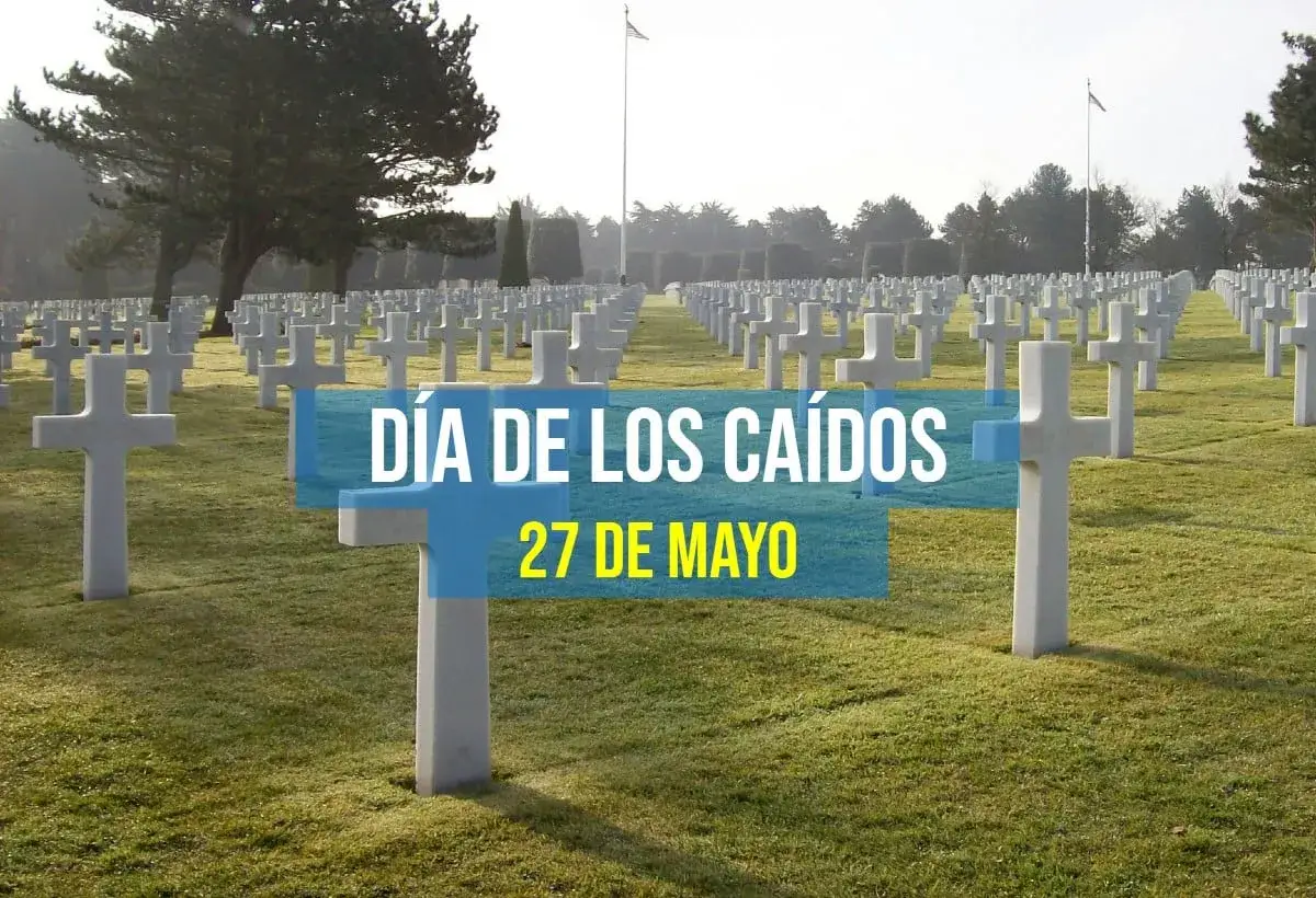 Filas de cruces blancas en un cementerio, con texto que dice