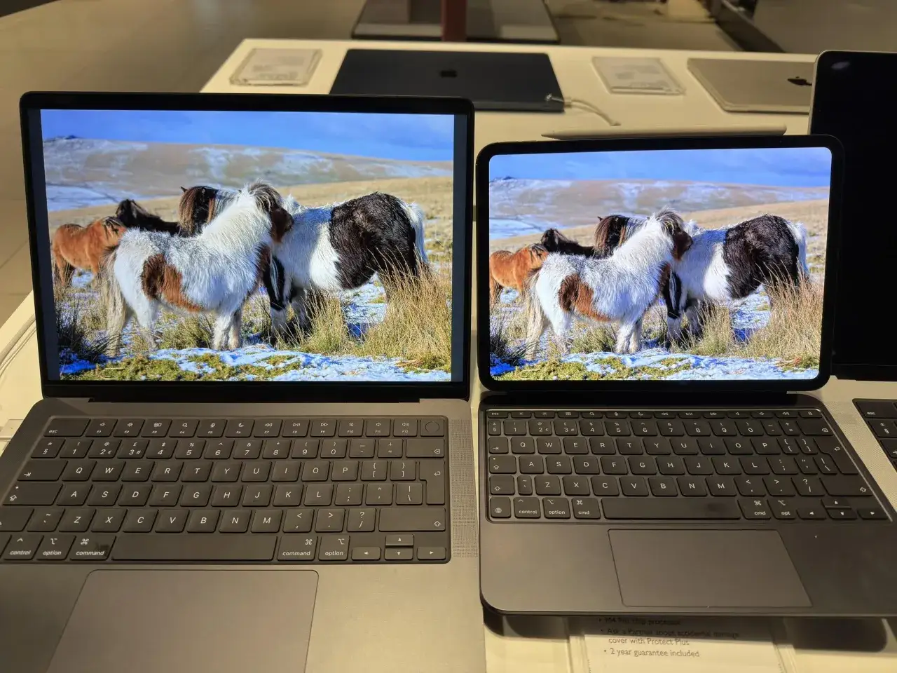 Dwie matryce w laptopach wyświetlają ten sam obrazek: stadko konik&oacute;w na tle zimowego krajobrazu.