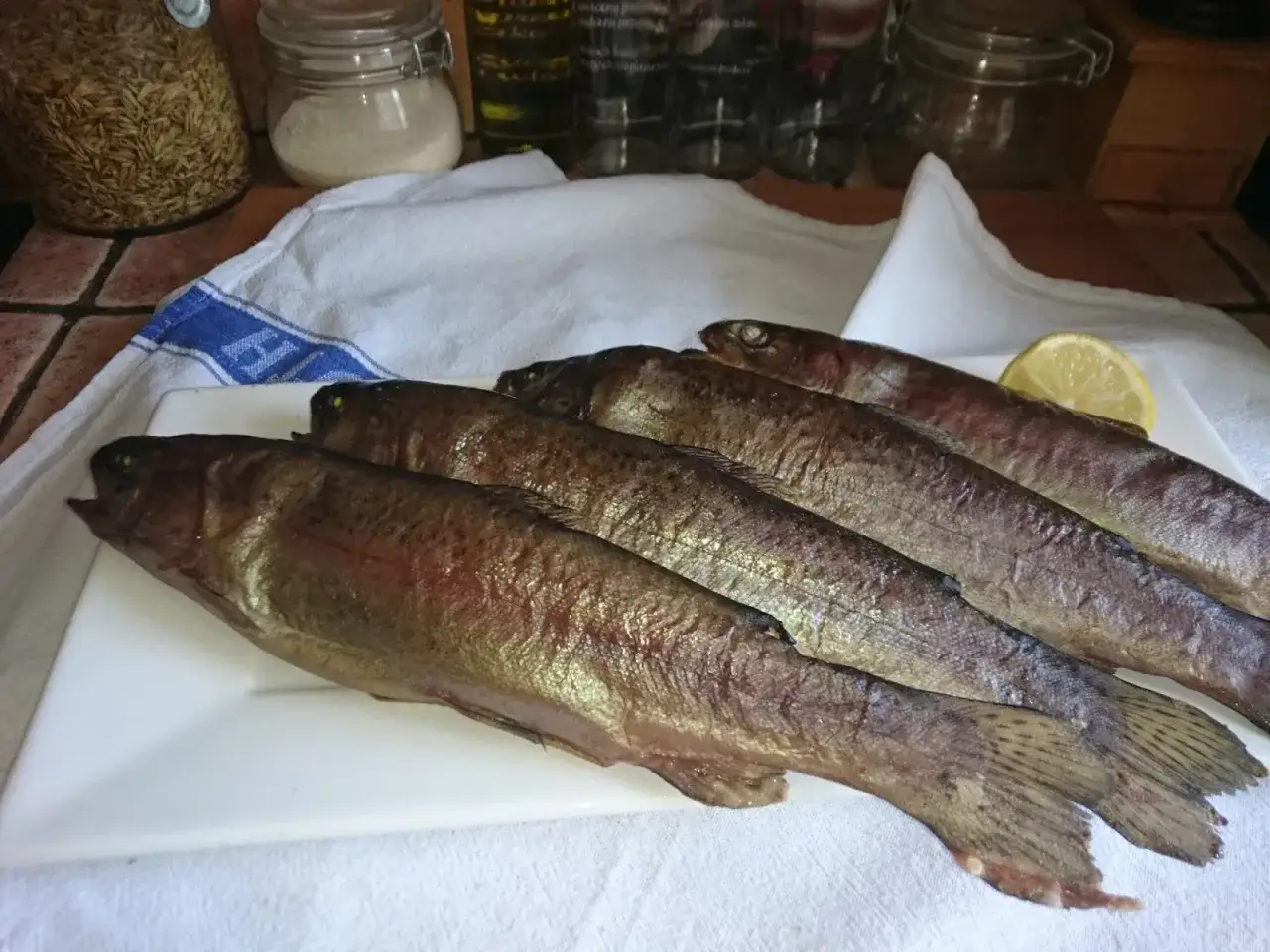 Gotowe do wędzenia ryb na gorąco. Na białej tacy leżą cztery świeże pstrągi, obok plasterek cytryny.