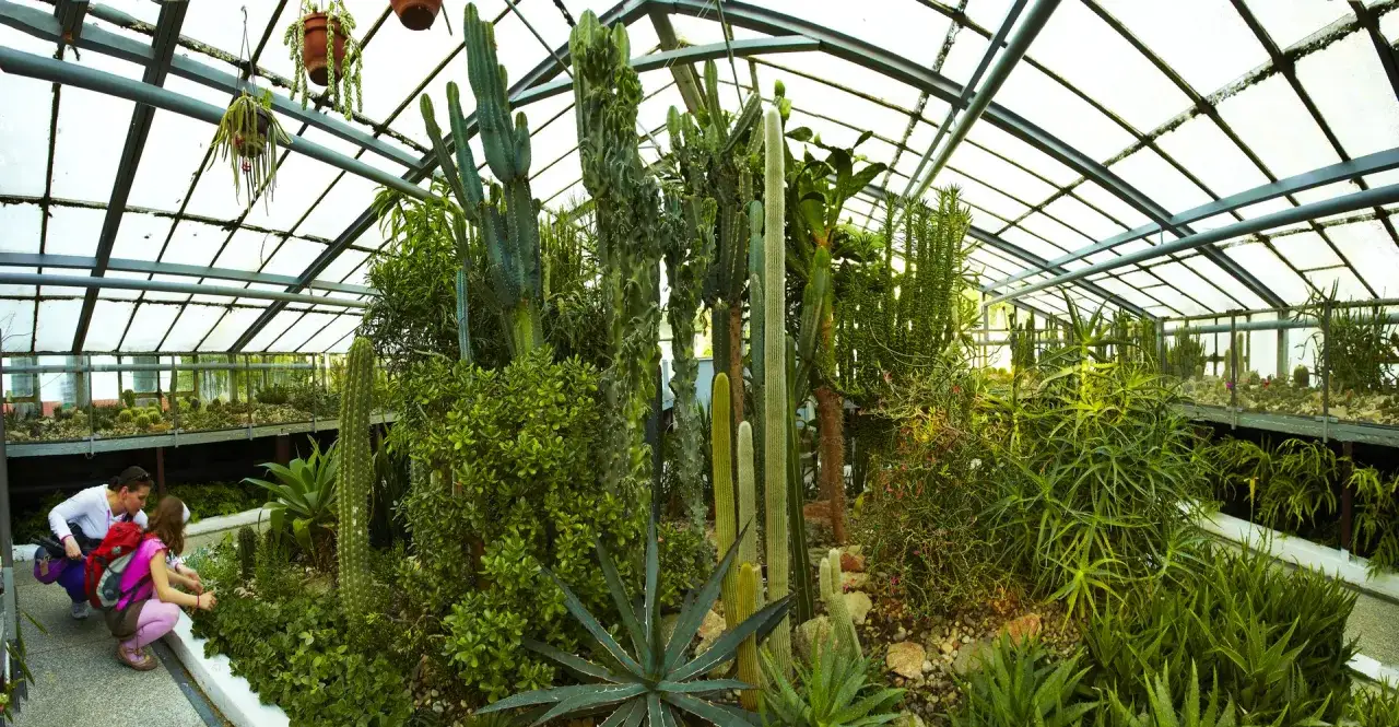 Miejski Ogród Botaniczny Zabrze ogólny widok