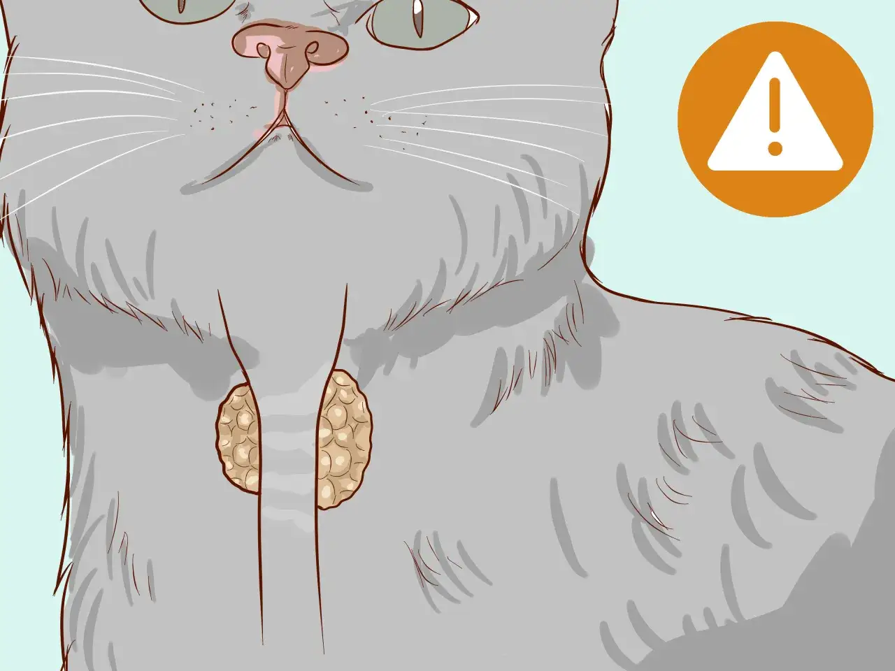 Ilustracja przedstawia kota z widocznymi gruczołami tarczycy. Ostrzeżenie sugeruje, że może to być związane z problemami zdrowotnymi, np. nadczynnością tarczycy, kt&oacute;ra wymaga leczenia, być może z użyciem lek&oacute;w jak smecta dla kota.