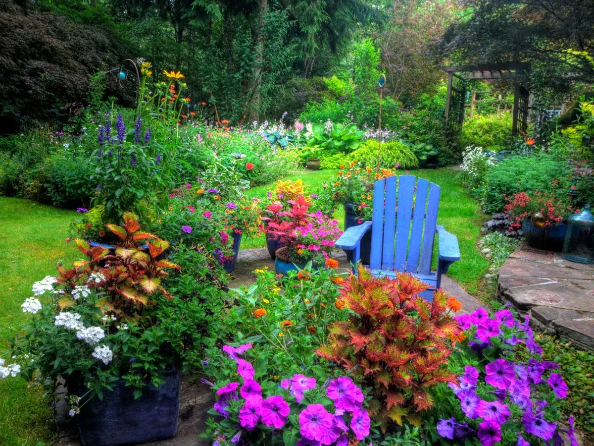 Ein &uuml;ppiger Garten mit vielen bunten Blumen, die viel Sonne vertragen. Eine blaue Adirondack-Liege l&auml;dt zum Verweilen ein.