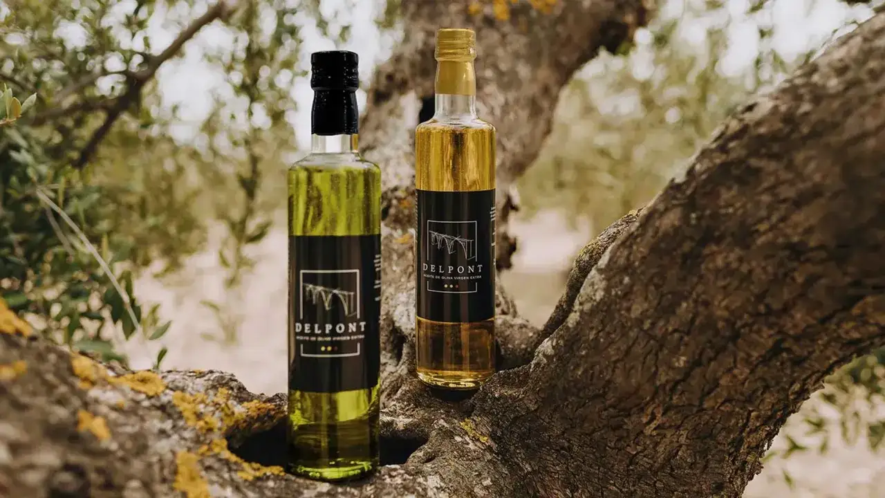 Dos botellas de aceite de oliva virgen extra Delpont, el mejor aceite del Matarraña, descansan sobre la rama de un olivo centenario.