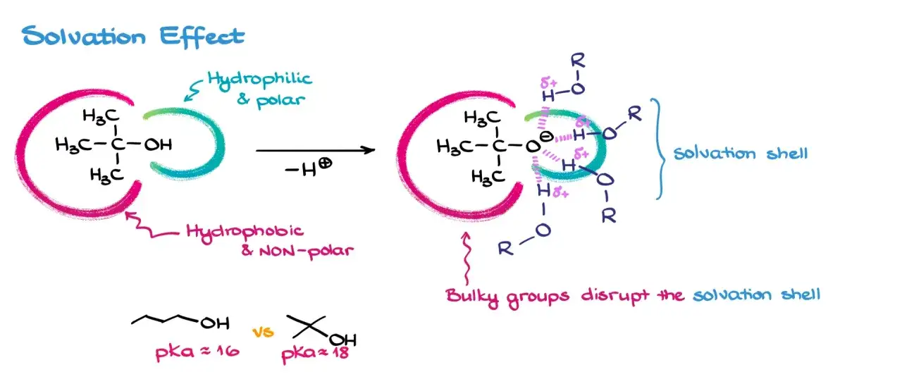 Darstellung der Solvatation von Alkoholen in der Chemie. Ein tertiärer Alkohol verliert ein Proton und bildet ein negativ geladenes Sauerstoffatom, das von Lösungsmittelmolekülen umgeben wird.