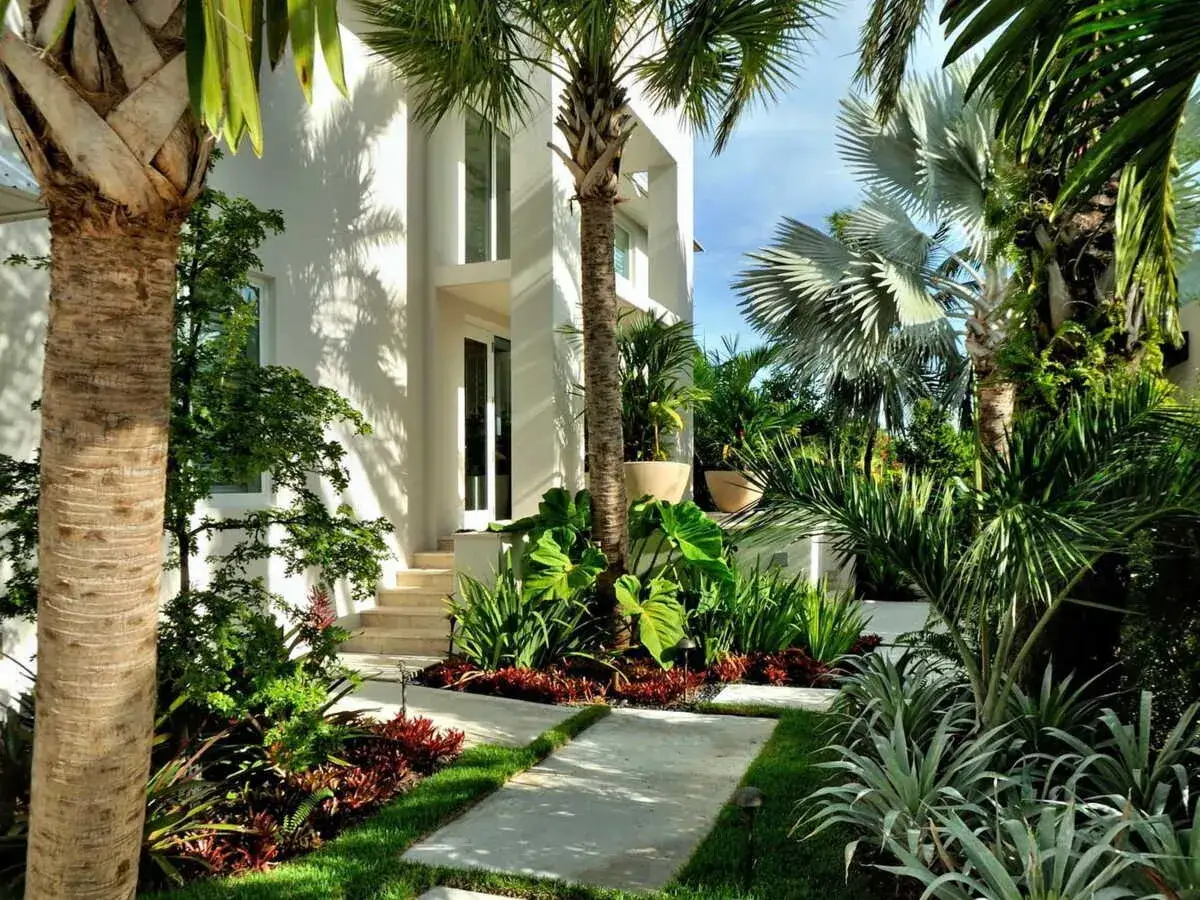 Magnifique création de jardin avec palmier, une oasis luxuriante devant une maison moderne.
