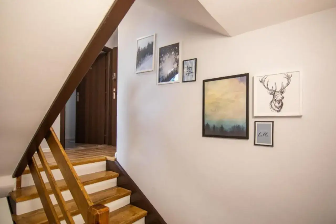 5 Wierchów Apartamenty taras widokowy