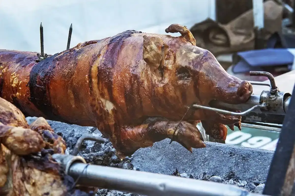 Un cochon entier rôti à la broche sur des braises. La peau est dorée et croustillante. Une méthode pour comment faire un cochon savoureux.