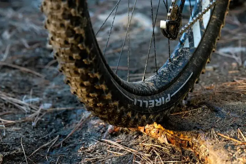 rower mtb w terenie, opona mtb