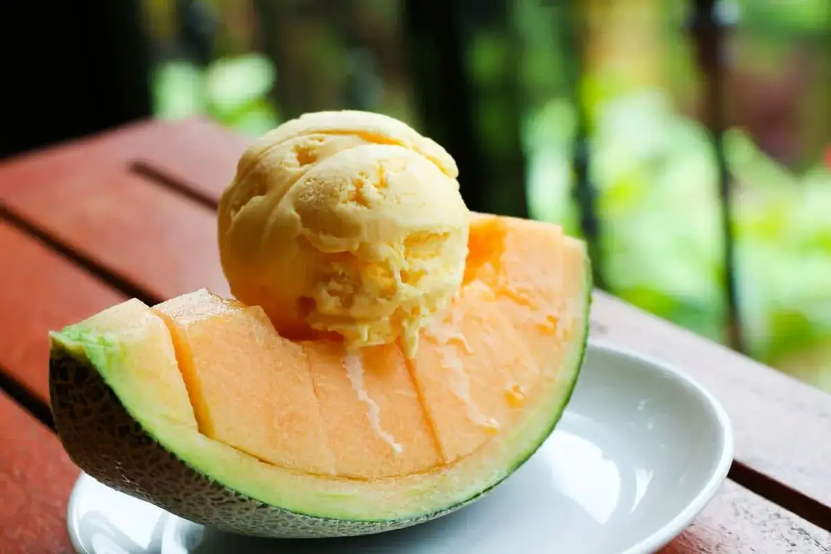 Une boule de glace au melon fondante repose sur une tranche de melon frais, sur une assiette blanche.